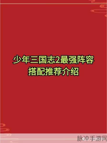 少年三国志2孙坚阵容推荐，打造无敌灼烧流