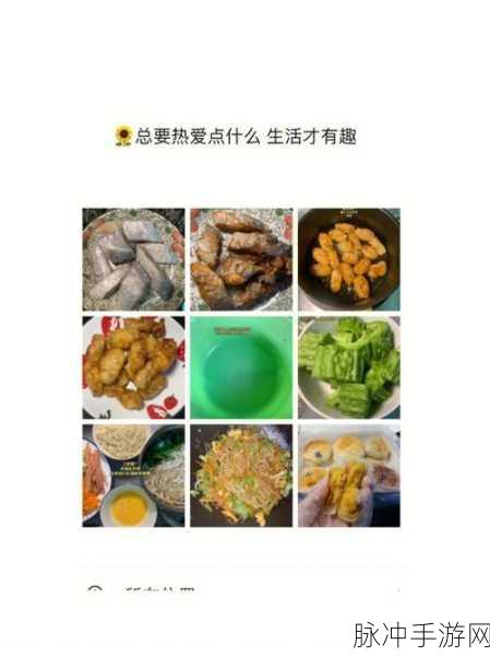 小森生活，厨房美食探索之旅全攻略，等级与菜名深度揭秘