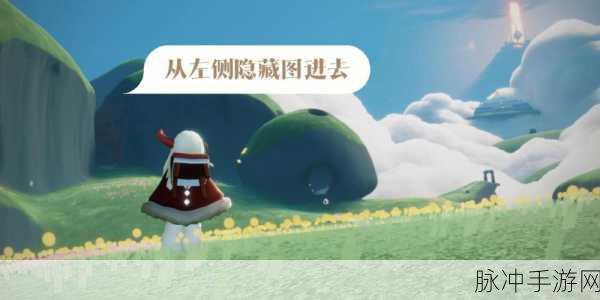 光遇幽光森林山洞位置全解析