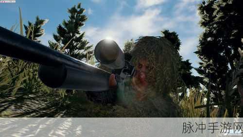 绝地求生，隐秘树梢上的狙击手与逃亡者的较量深度解析