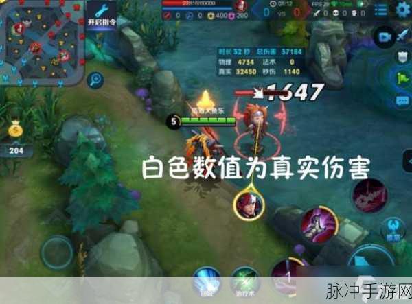 王者荣耀深度解析，真实伤害机制全攻略