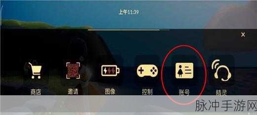 光遇手游，苹果 ID 登录账号如何共享给他人