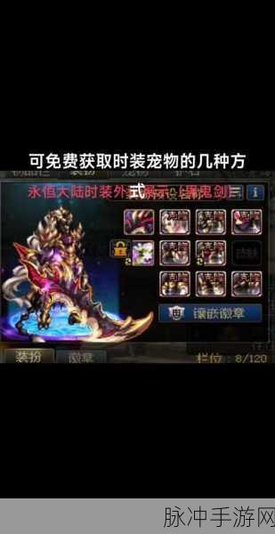 DNF手游攻略，揭秘关羽宠物与武圣关羽宠物的获取之道
