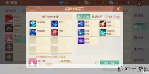 轩辕传奇手游药师技能深度解析及灵宠搭配指南