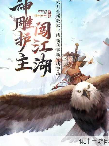 射雕手游，职业随心换，畅玩江湖新体验