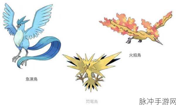 宝可梦大集结中闪电鸟的强大作用全解析