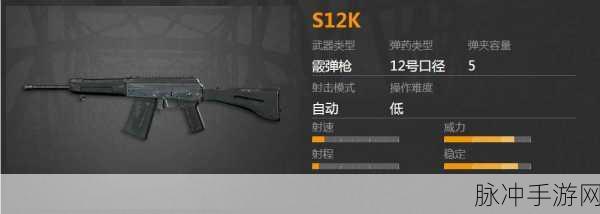 暗区突围S12K怎么样——S12K霰弹枪全面介绍
