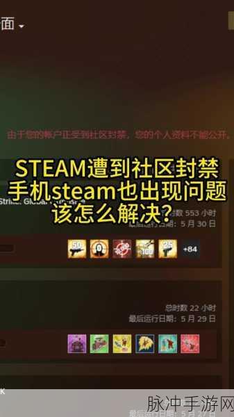 Steam 手机版错误代码困扰之全面破解攻略