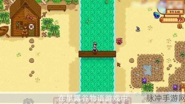 星露谷物语，获取彩虹贝壳的全方位攻略