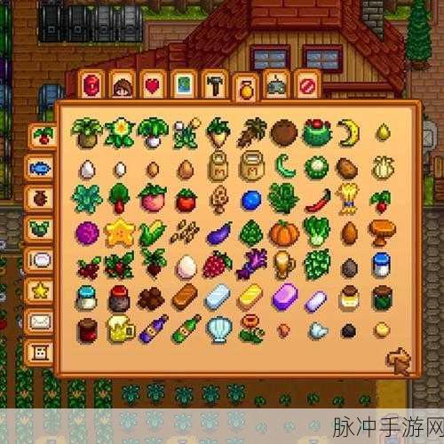 星露谷物语，全面攻略——钱包特殊物品收集指南
