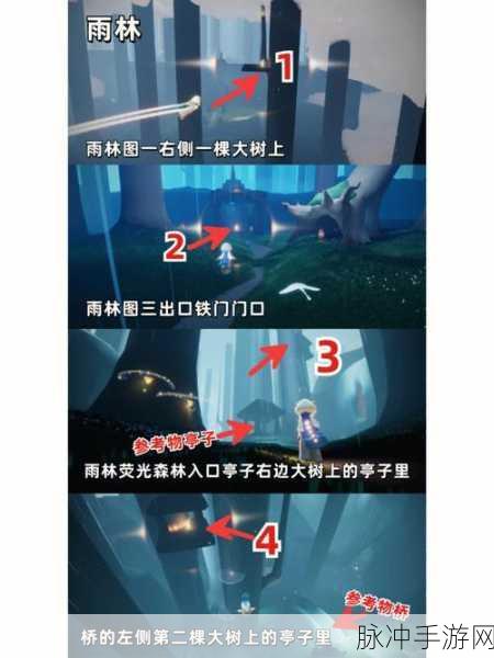 光遇雨林神庙位置全攻略，探索神秘之地的详尽指南