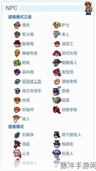 泰拉瑞亚 NPC 最优分配秘籍大公开