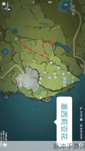 原神塞西莉亚花采集路线全攻略，探寻蒙德之花