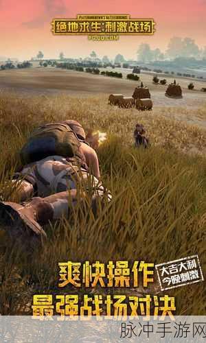 绝地求生刺激战场，上线回顾与辉煌攻略