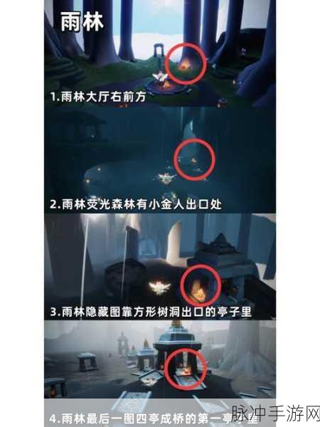 Sky光遇，全面攻略——如何快速获得蜡烛