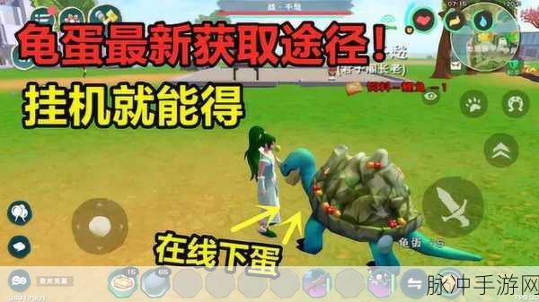 创造与魔法龟蛋快速获得方法及具体地图位置一览