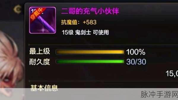 DNF手游攻略，深度解析幻影暗杀者的黑色剑鞘属性