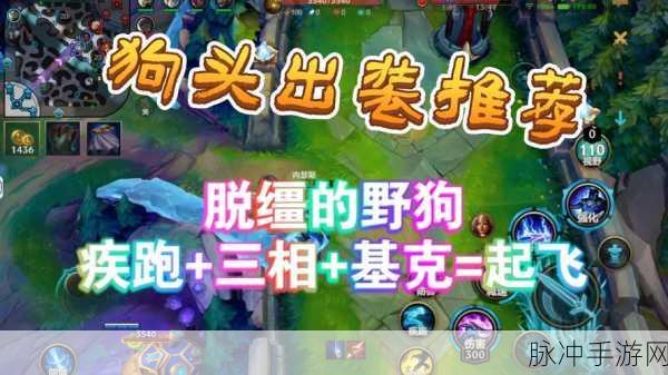 云顶之弈狗头出装全攻略，打造无敌坦克的秘诀