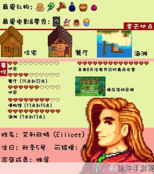 星露谷物语，可结婚男性角色全解析与攻略指南