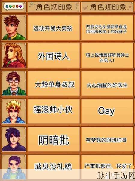 星露谷物语，可结婚男性角色全解析与攻略指南