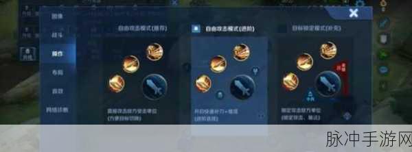 王者荣耀手游攻略，全面解析如何隐藏自己的社交信息