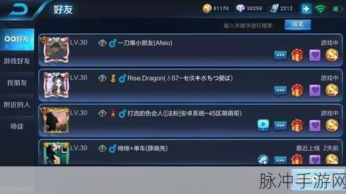 王者荣耀手游攻略，全面解析如何隐藏自己的社交信息