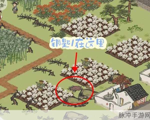 江南百景图应天城郊宝箱全攻略