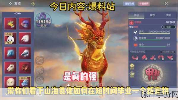 DNF 手游麒麟宠物，颜色抉择与搭配秘籍