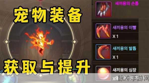 DNF手游宠物怎么获得？宠物获得方法全面汇总