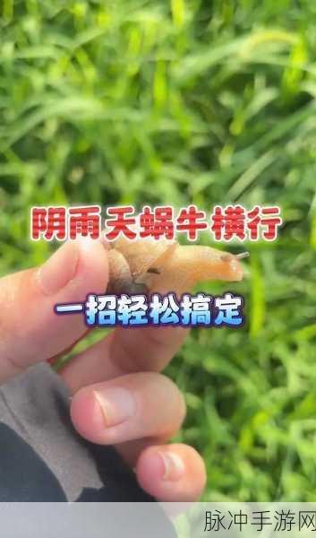 最强蜗牛，杂物位置全解析，带你轻松寻宝