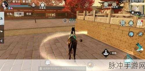 一梦江湖一号玩家端口，玩家之痛与攻略指南