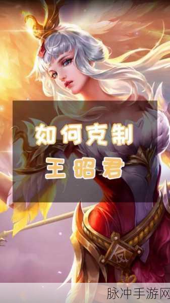 王者荣耀法师对线攻略，哪些英雄能有效克制王昭君？