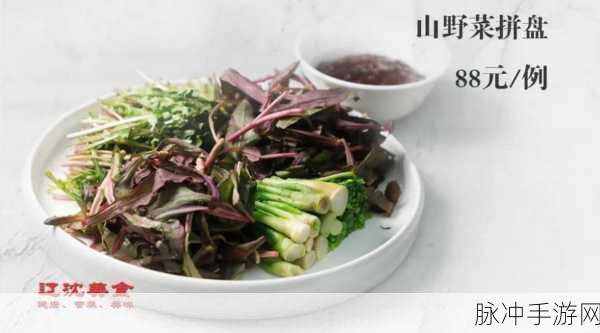 小森生活四级料理配方大揭秘 美味之旅从此开启