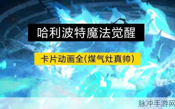 哈利波特魔法觉醒，全面攻略传说飞来币的获取之道
