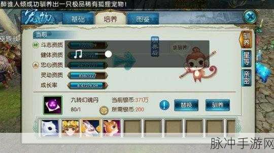诛仙手游深度攻略，全面解析BUFF加成与状态栏