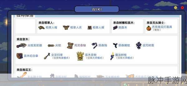 泰拉瑞亚战士职业毕业饰品全解析，铸就战场上的不朽传奇
