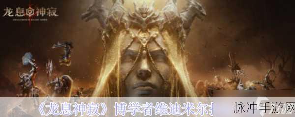 龙息神寂博学者维迪米尔技能全解析，冰霜法师的极致掌控