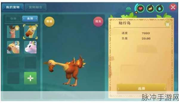 创造与魔法，潮流陆行鸟获取全攻略