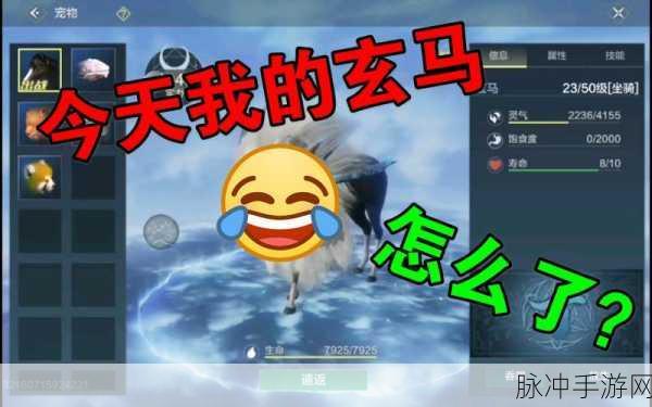 妄想山海玄马吞噬秘籍大公开