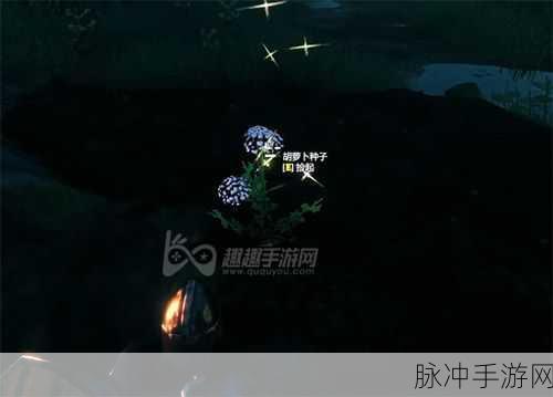 奥拉星手游神殿三星通关秘籍大揭秘