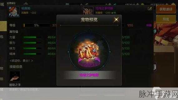 DNF手游春节套选择攻略，第一套VS第四套，宠物挑选指南