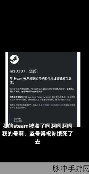 手机端 Steam 无法登陆的原因及解决攻略