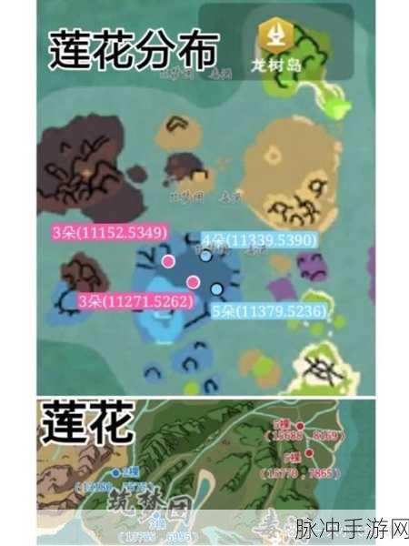创造与魔法龙树岛精英怪刷新时间大全