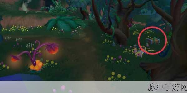 摩尔庄园手游攻略，揭秘黑森林10个宝箱位置