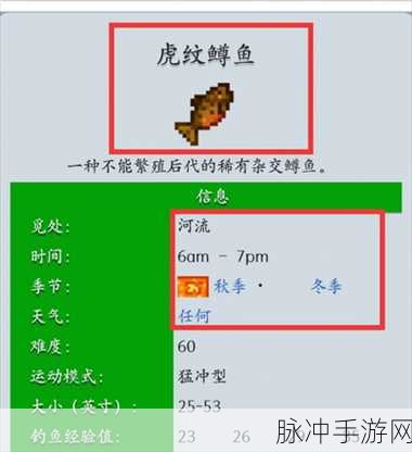 星露谷物语，探寻虎纹鳟鱼的最佳垂钓地点