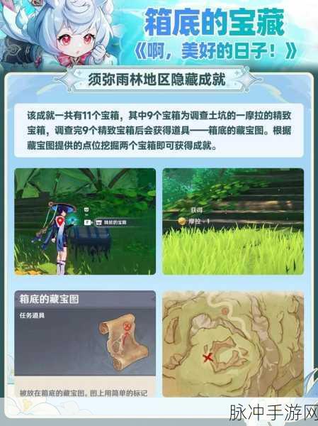 原神须弥活力之家宝箱全攻略，解锁隐藏宝藏与成就