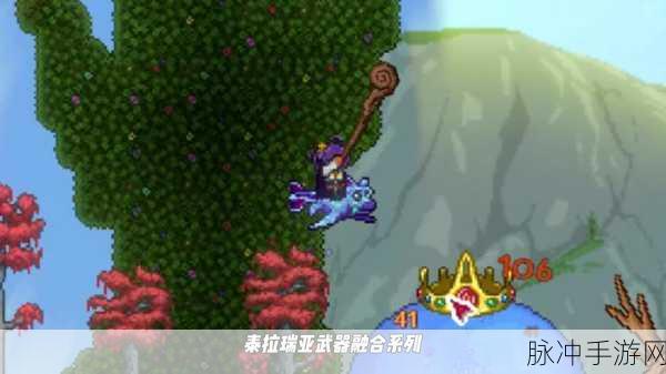 泰拉瑞亚宁芙，揭秘她的神秘生成之地与探索攻略