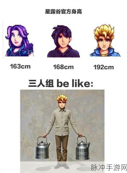 星露谷物语深度解析，山姆的个性魅力与游戏攻略