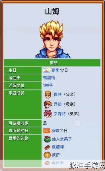 星露谷物语深度解析，山姆的个性魅力与游戏攻略