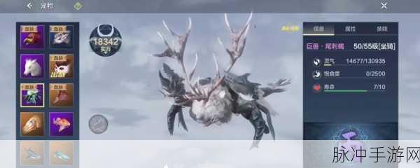 妄想山海坐骑召唤全攻略，解锁你的奇幻之旅